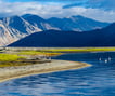 a lake in ladakh with some birds and mountains