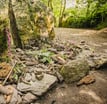 tombeau de merlin foret de broceliande