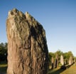 menhirs de monteneuf foret de broceliande