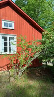 make wood look rustic with the only paint using traditional, matte, natural pigments