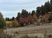 Imagen Día Internacional de los Bosques
