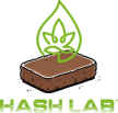 hash lab logo