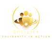 solidify logo