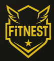Fitnest logo