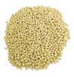 urad dal trader