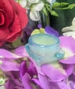 a jar of Home-made Lip Balm
