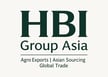 Official logo of HBI Group Asia — global trade and export infrastructure platform.