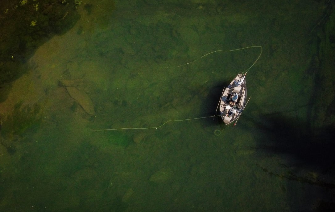 Fly fishing the South Holston River.