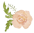 a flower with a green leafy stem
