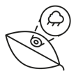 graphic of a leaf with analytics about the weather