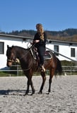 Braune Warmblutstute mit Reiterin auf gepflegtem Reitplatz. Geritten im Bosal. 