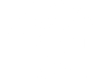 Logo "Leone" in formato png