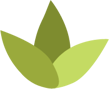 Kilbirnie Beauty Collective logo