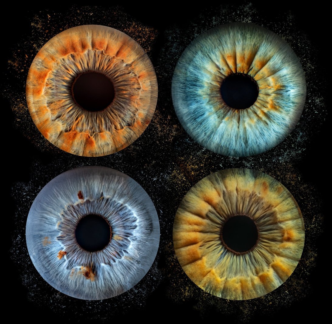 iris foto für Familie, Auge, Macroaufnahme, Geschenk