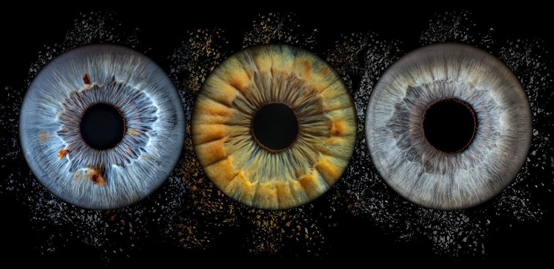 iris foto für Familie, Auge, Macroaufnahme, Geschenk