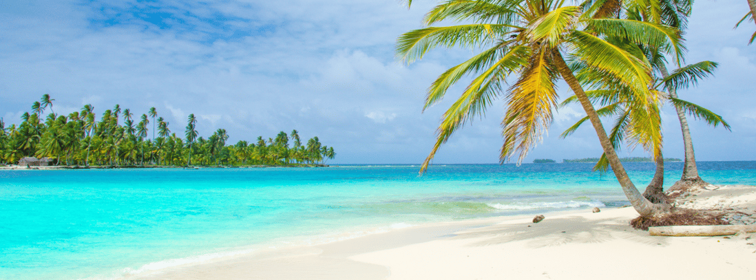 a beach with palm trees and a blue sky