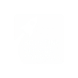Boosting Service Myanmar logo
