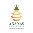 Ananas Premium Sdn Bhd logo