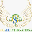 Glosel International Consultancy pvt ltd logo