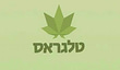 טלגראס כיוונים logo