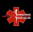 DEDE SELEB AMBULANCE logo
