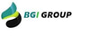 bgigroupinternational logo