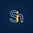 Singular Soluções Digitais logo
