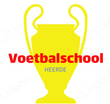 Voetbalschool Heerde logo