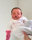 Silicone Reborn Babies for Adoption logo