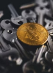 digitalcoinsafe.site logo