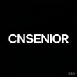 CNSENIOR TALKING CHESS ACADEMY logo