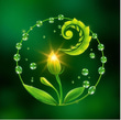 Aline Gutfreund Coach Nutrition Fertilité logo