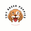 Teacup yorkie puppies & toy breed puppies Chicago logo