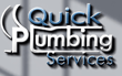 Professional Plumbing services logo
