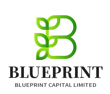 BLUEPRINT CAPITAL LIMITED logo