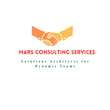 MARS Consulting Services logo