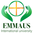 Emmaüs International University logo