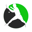 SHAA TABLETENNIS ACADEMY logo