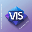 Virtual Integrity Services logo