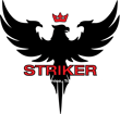 Striker Security LTD logo