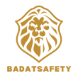 Mr Badat Safety Matches logo