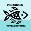 Peixaria Trutas Butantã logo