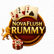 NOVAFLUSHRUMMY.ONLINE logo