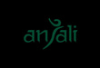 Anjali Silk Selection logo