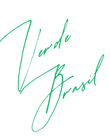 Verde Brasil Special Commodities logo