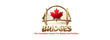 bridgesmediapolitics logo