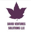 DAVID VENTURES SOLUTIONS LLC logo