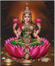 Shree Charitable Trust logo