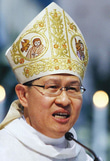 Luis Antonio Tagle Meme Coin logo