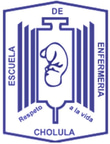Centro de Estudios de Enfermería logo